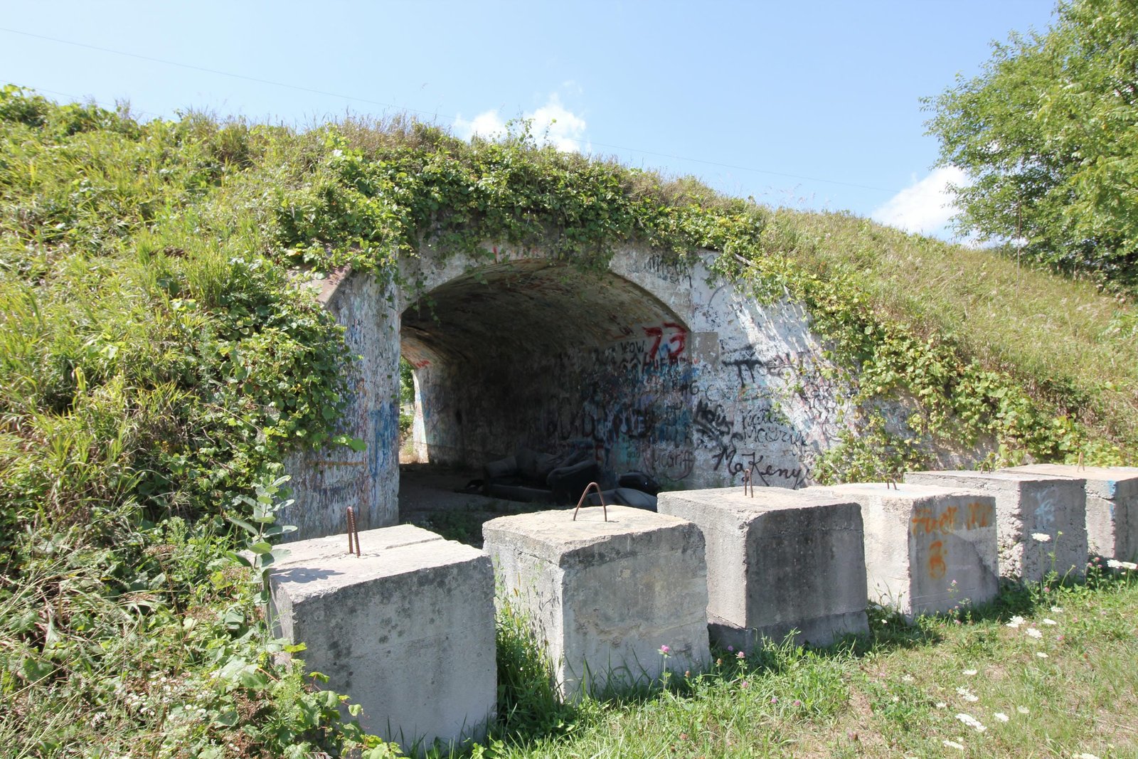 Overview